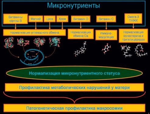 Громова Информационные войны против беременных - микронутриенты и метаболические нарушения