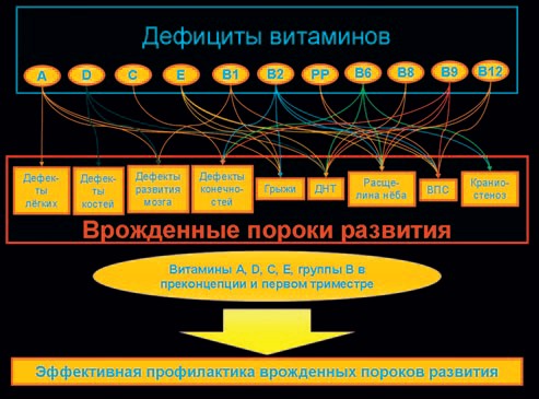 Громова Информационные войны против беременных - дефициты витаминов и пороки развития